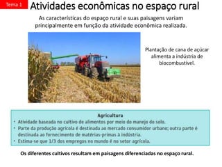 Atividades econômicas no espaço rural
Os diferentes cultivos resultam em paisagens diferenciadas no espaço rural.
As características do espaço rural e suas paisagens variam
principalmente em função da atividade econômica realizada.
Plantação de cana de açúcar
alimenta a indústria de
biocombustível.
Tema 1
 