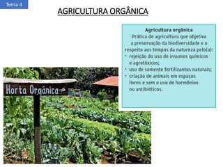 AGRICULTURA ORGÂNICA
Tema 4
 