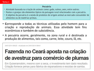 • Corresponde a todas as técnicas utilizadas pelo homem para a
criação e reprodução de animais. Essa atividade tem fins
econômicos e também de subsistência.
• A pecuária ocorre, geralmente, na zona rural e é destinada a
produção de alimentos, tais como, carne, leite, couro, lã, etc.
Tema 1
 