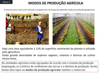 A maneira como o solo rural é utilizado e ocupado varia em função dos diferentes modos de produção agropecuária.
Tema 2
Hoje uma área equivalente a 12% da superfície continental do planeta é utilizada
pela agricultura
Existe grande diversidade de espécies vegetais, sistemas e técnicas de cultivo
nessas áreas.
MODOS DE PRODUÇÃO AGRÍCOLA
 