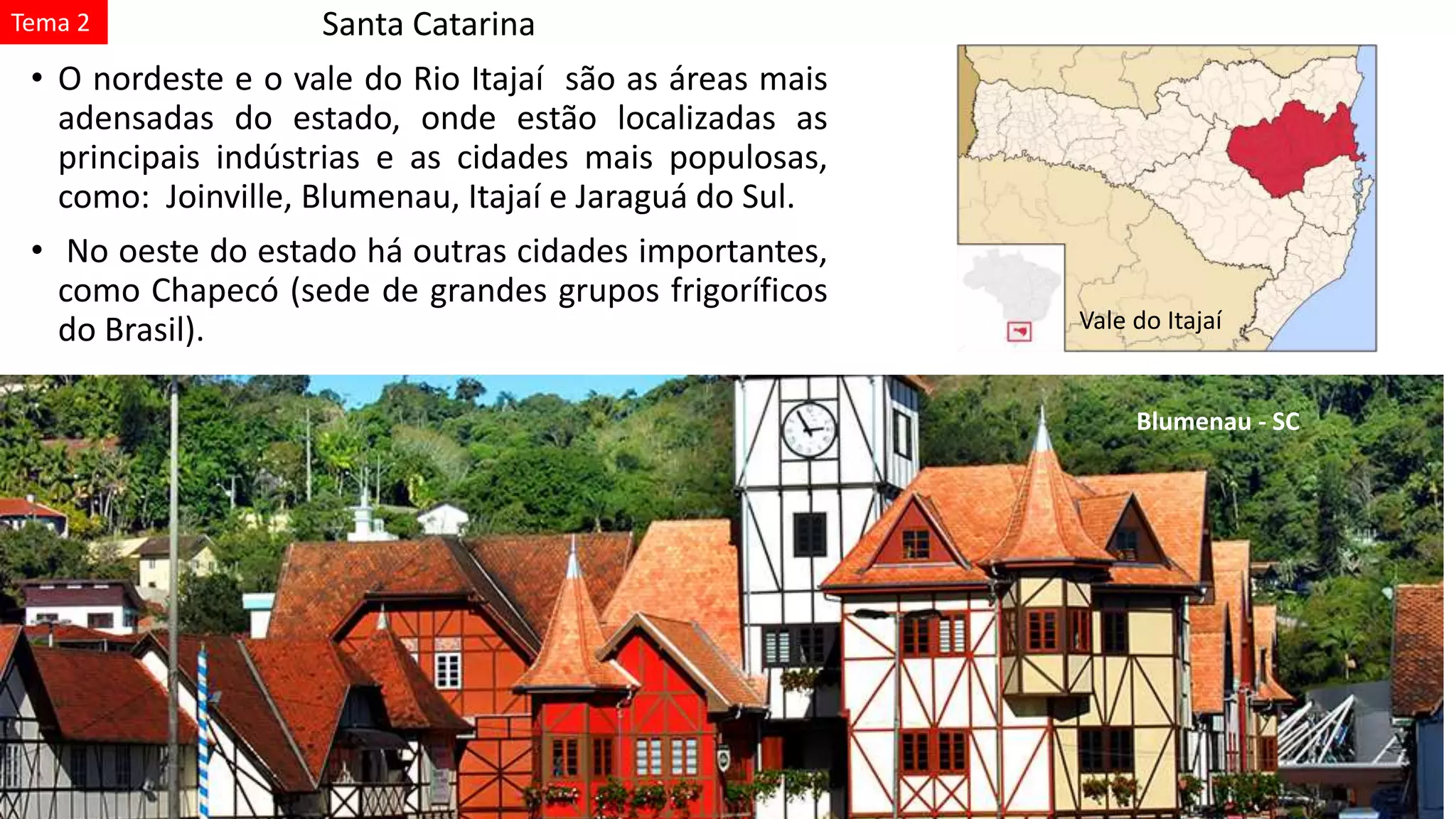 Santa Catarina
• O nordeste e o vale do Rio Itajaí são as áreas mais
adensadas do estado, onde estão localizadas as
principais indústrias e as cidades mais populosas,
como: Joinville, Blumenau, Itajaí e Jaraguá do Sul.
• No oeste do estado há outras cidades importantes,
como Chapecó (sede de grandes grupos frigoríficos
do Brasil). Vale do Itajaí
Blumenau - SC
Tema 2
 