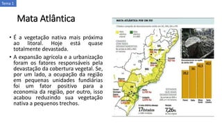 Mata Atlântica
• É a vegetação nativa mais próxima
ao litoral. Hoje está quase
totalmente devastada.
• A expansão agrícola e a urbanização
foram os fatores responsáveis pela
devastação da cobertura vegetal. Se,
por um lado, a ocupação da região
em pequenas unidades fundiárias
foi um fator positivo para a
economia da região, por outro, isso
acabou reduzindo sua vegetação
nativa a pequenos trechos.
Tema 1
 