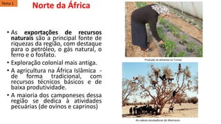 • As exportações de recursos
naturais são a principal fonte de
riquezas da região, com destaque
para o petróleo, o gás natural, o
ferro e o fosfato.
• Exploração colonial mais antiga.
• A agricultura na África Islâmica -
de forma tradicional, com
recursos técnicos básicos e de
baixa produtividade.
• A maioria dos camponeses dessa
região se dedica à atividades
pecuárias (de ovinos e caprinos)
Produção de alimentos na Tunísia
As cabras escaladoras do Marrocos
Tema 1
Norte da África
 
