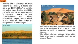 Mesmo com a presença do maior
deserto do mundo, o Saara com
cerca de 10.000.000km² e também
de muitas áreas de clima semiárido,
na África Islâmica são desenvolvidos
importantes cultivos agrícolas,
principalmente nas regiões
litorâneas da Argélia, Tunísia e Líbia,
e nas áreas de solos férteis na
margem do Rio Nilo, no Egito.
Rio Nilo - Egito
Tema 1
Os oásis são utilizados para irrigar as áreas em
sua volta permitindo a produção de frutas,
cereais, hortaliças e pequenas criações de
animais.
Na África Islâmica, existem vários oásis
importantes para a população que vive em
meio do Saara.
Oásis no Saara - Argélia
 
