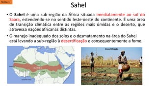 Sahel
• O Sahel é uma sub-região da África situada imediatamente ao sul do
Saara, estendendo-se no sentido leste-oeste do continente. É uma área
de transição climática entre as regiões mais úmidas e o deserto, que
atravessa nações africanas distintas.
• O manejo inadequado dos solos e o desmatamento na área do Sahel
está levando a sub-região à desertificação e consequentemente a fome.
Desertificação
Tema 1
 