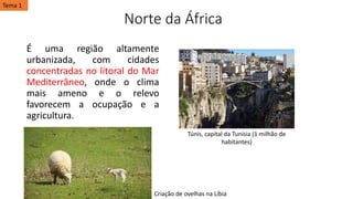 Norte da África
É uma região altamente
urbanizada, com cidades
concentradas no litoral do Mar
Mediterrâneo, onde o clima
mais ameno e o relevo
favorecem a ocupação e a
agricultura.
Tema 1
Túnis, capital da Tunísia (1 milhão de
habitantes)
Criação de ovelhas na Líbia
 