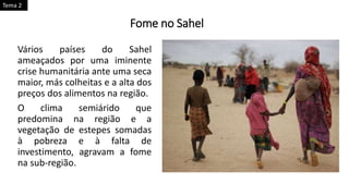 Fome no Sahel
Vários países do Sahel
ameaçados por uma iminente
crise humanitária ante uma seca
maior, más colheitas e a alta dos
preços dos alimentos na região.
O clima semiárido que
predomina na região e a
vegetação de estepes somadas
à pobreza e à falta de
investimento, agravam a fome
na sub-região.
Tema 2
 