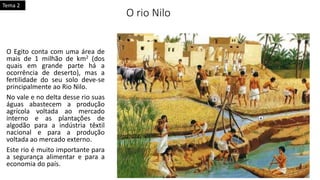 O rio Nilo
O Egito conta com uma área de
mais de 1 milhão de km2 (dos
quais em grande parte há a
ocorrência de deserto), mas a
fertilidade do seu solo deve-se
principalmente ao Rio Nilo.
No vale e no delta desse rio suas
águas abastecem a produção
agrícola voltada ao mercado
interno e as plantações de
algodão para a indústria têxtil
nacional e para a produção
voltada ao mercado externo.
Este rio é muito importante para
a segurança alimentar e para a
economia do país.
Tema 2
 