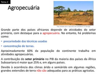 Agropecuária
Grande parte dos países africanos depende de atividades do setor
primário, com destaque para a agropecuária. No entanto, há problemas
como:
• precariedade das técnicas usadas
• concentração de terras.
Aproximadamente 60% da população do continente trabalha em
atividades agropecuárias.
A contribuição do setor primário no PIB da maioria dos países da África
Subsaariana é maior que 25% e, em alguns países.
Devido à ocorrência dos climas árido e semiárido em algumas regiões,
grandes extensões de terra não são adequadas para as práticas agrícolas.
Tema 2
 