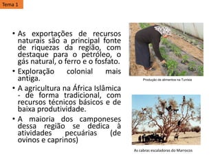 • As exportações de recursos
naturais são a principal fonte
de riquezas da região, com
destaque para o petróleo, o
gás natural, o ferro e o fosfato.
• Exploração colonial mais
antiga.
• A agricultura na África Islâmica
- de forma tradicional, com
recursos técnicos básicos e de
baixa produtividade.
• A maioria dos camponeses
dessa região se dedica à
atividades pecuárias (de
ovinos e caprinos)
Produção de alimentos na Tunísia
As cabras escaladoras do Marrocos
Tema 1
 