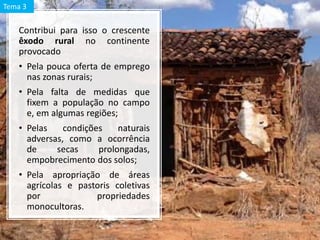 Contribui para isso o crescente
êxodo rural no continente
provocado
• Pela pouca oferta de emprego
nas zonas rurais;
• Pela falta de medidas que
fixem a população no campo
e, em algumas regiões;
• Pelas condições naturais
adversas, como a ocorrência
de secas prolongadas,
empobrecimento dos solos;
• Pela apropriação de áreas
agrícolas e pastoris coletivas
por propriedades
monocultoras.
Tema 3
 