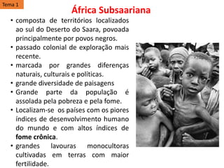 • composta de territórios localizados
ao sul do Deserto do Saara, povoada
principalmente por povos negros.
• passado colonial de exploração mais
recente.
• marcada por grandes diferenças
naturais, culturais e políticas.
• grande diversidade de paisagens
• Grande parte da população é
assolada pela pobreza e pela fome.
• Localizam-se os países com os piores
índices de desenvolvimento humano
do mundo e com altos índices de
fome crônica.
• grandes lavouras monocultoras
cultivadas em terras com maior
fertilidade.
África Subsaariana
Tema 1
 