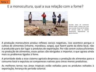 E a monocultura, qual a sua relação com a fome?
A produção monocultora produz reflexos sociais negativos, isso acontece porque o
cultivo de alimentos (inhame, mandioca, sorgo), que fazem parte da dieta local, não
é produzido para dar lugar a produtos de exportação. Por não serem autossuficientes
na produção de alimentos, esses países são obrigados a importar, o que agrava ainda
mais os problemas ligados à fome.
A prioridade dada a esse sistema agrícola desprezou a produção de alimentos para o
consumo local e expulsou os camponeses nativos para áreas menos produtivas.
As melhores terras nas áreas tropicais estão voltadas para os produtos voltados à
exportação, herança do período colonial.
Grandes áreas do continente
africano estão a braços com uma
seca recorde. Cerca de 45 milhões
de pessoas estão ou estarão
brevemente dependentes de
ajuda alimentar
Tema 1
 