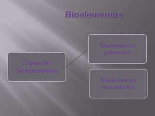 Tipos de
bioelementos
Bioelementos
primarios
Bioelementos
secundarios
 
