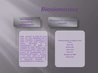 Bioelemento
secundario
indispensable
Están presente en todos los seres
vivos. Los mas abundantes son el
sodio, el potasio, el magnesio, y el
calcio, los iones sodio, potasio y
cloruro intervienen en el
mantenimiento del grado de
salinidad del medio interno y en el
equilibrio, de cargas a ambos lados
de la membrana. Los iones sodio y
potasio son fundamentales en la
transmisión del impulso nervioso,
el ion calcio actúa en muchas
reacciones como los mecanismos de
la contracción muscular, la
permeabilidad de las membranas.
Bioelemento secundario
variable
Están presentes en algunos setes
vivos :
Boro (B)
Bromo (Br)
Cobre (Cu)
Flúor (F)
Manganeso (Mn)
Silicio (Si).
 