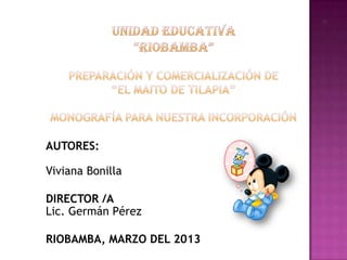 AUTORES:
Viviana Bonilla
DIRECTOR /A
Lic. Germán Pérez
RIOBAMBA, MARZO DEL 2013

 
