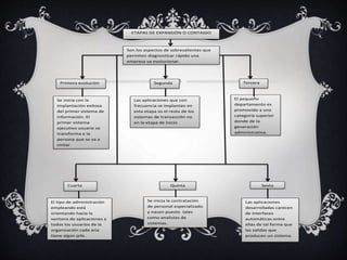 ETAPAS DE EXPANSIÓN O CONTAGIO 
Son los aspectos de sobresalientes que 
permiten diagnosticar rápido una 
empresa va evolucionar. 
Primera evolución 
Se inicia con la 
implantación exitosa 
del primer sistema de 
información. El 
primer sistema 
ejecutivo usuario se 
transforma e la 
persona que se va a 
imitar 
Segunda 
Las aplicaciones que con 
frecuencia se implantan en 
esta etapa so el resto de los 
sistemas de transacción no 
en la etapa de inicio 
Tercera 
El pequeño 
departamento es 
promovido a una 
categoría superior 
donde de la 
generación 
administrativa. 
Cuarta 
El tipo de administración 
empleando está 
orientando hacia la 
ventana de aplicaciones a 
todos los usuarios de la 
organización cada aria 
tiene algún jefe. 
Quinta 
Las aplicaciones 
desarrolladas carecen 
de interfaces 
automáticas entre 
ellas de tal forma que 
las salidas que 
producen un sistema. 
Se inicia la contratación 
de personal especializado 
y nacen puesto tales 
como analistas de 
sistemas. 
Sexta 
 