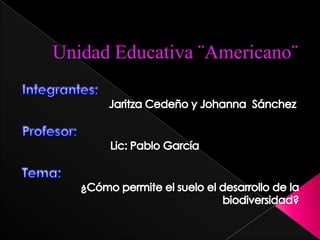 Unidad educativa ¨americano¨