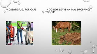 ►CREATE FUEL FOR CARS ►DO NOT LEAVE ANIMAL DROPPINGS
OUTDOORS
 