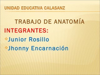 TRABAJO DE ANATOMÍA
INTEGRANTES:
Junior Rosillo

Jhonny Encarnación
 