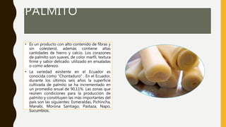 PALMITO
• Es un producto con alto contenido de fibras y
sin colesterol, además contiene altas
cantidades de hierro y calcio. Los corazones
de palmito son suaves, de color marfil, textura
firme y sabor delicado. utilizado en ensaladas
o como aderezo.
• La variedad existente en el Ecuador es
conocida como "Chontaduro" . En el Ecuador,
durante los últimos seis años la superficie
cultivada de palmito se ha incrementado en
un promedio anual de 90,11%. Las zonas que
reúnen condiciones para la producción de
palmito y constituyen las más importantes del
país son las siguientes: Esmeraldas, Pichincha,
Manabí, Morona Santiago, Pastaza, Napo,
Sucumbíos.
 