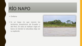 RÍO NAPO
• Orellana
• Es un largo río que recorre los
territorios amazónicos de Ecuador y
del Perú. En este se realizan viajes en
barco en donde la naturaleza deja ver
su esplendo
 