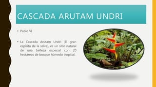 CASCADA ARUTAM UNDRI
• Pablo VI
• La Cascada Arutam Undri (El gran
espíritu de la selva), es un sitio natural
de una belleza especial con 20
hectáreas de bosque húmedo tropical.
 