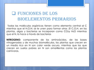  Funciones de los
bioelementos primarios
Todas las moléculas orgánicas tienen como elemento central al C
mientras que el H,O,N; se le unen para formar otras .El C,O,H, en las
plantas, algas y bacterias se incorporan como CO2y H2O mientras
que el N, lo hace a través de bacterias
NITROGENO: componente de los aminoácidos, de las bases
nitrogenadas y de muchas biomoléculas, las plantas que crecen en
un medio rico en N son color verde oscuro, mientras que las que
crecen en suelos pobres en N son amarillentas como las plantas
carnívoras.
 