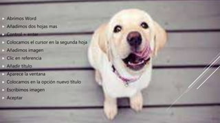  Abrimos Word
 Añadimos dos hojas mas
 Control + enter
 Colocamos el cursor en la segunda hoja
 Añadimos imagen
 Clic en referencia
 Añadir título
 Aparece la ventana
 Colocamos en la opción nuevo título
 Escribimos imagen
 Aceptar
 