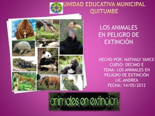 HECHO POR: NATHALY YANCE
CURSO: DECIMO E
TEMA: LOS ANIMALES EN
PELIGRO DE EXTINCIÓN
LIC.ANDREA
FECHA: 14/05/2012
LOS ANIMALES
EN PELIGRO DE
EXTINCIÓN
 