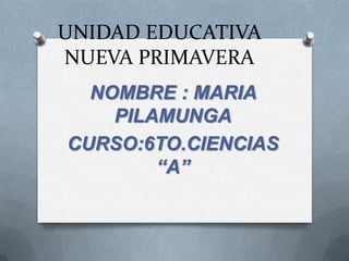 UNIDAD EDUCATIVA
NUEVA PRIMAVERA
  NOMBRE : MARIA
    PILAMUNGA
CURSO:6TO.CIENCIAS
        “A”
 