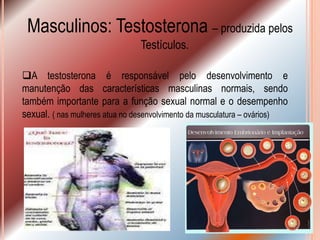Masculinos: Testosterona – produzida pelos
                                Testículos.

A testosterona é responsável pelo desenvolvimento e
manutenção das características masculinas normais, sendo
também importante para a função sexual normal e o desempenho
sexual. ( nas mulheres atua no desenvolvimento da musculatura – ovários)
 