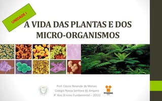 A VIDA DAS PLANTAS E DOS
MICRO-ORGANISMOS
Prof. Cássio Resende de Morais.
Colégio Nossa Senhora do Amparo
4° Ano (Ensino Fundamental – 2015)
 