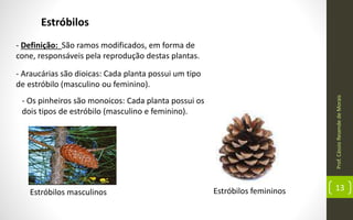 Prof.CássioResendedeMorais
13
Estróbilos
- Definição: São ramos modificados, em forma de
cone, responsáveis pela reprodução destas plantas.
- Araucárias são dioicas: Cada planta possui um tipo
de estróbilo (masculino ou feminino).
Estróbilos masculinos Estróbilos femininos
- Os pinheiros são monoicos: Cada planta possui os
dois tipos de estróbilo (masculino e feminino).
 