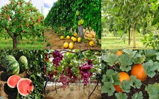 Prof.CássioResendedeMorais
16
 