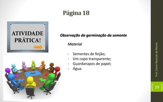 Página18
Prof.CássioResendedeMorais
19
Observação da germinação da semente
Material
- Sementes de feijão;
- Um copo transparente;
- Guardanapos de papel;
- Água.
 