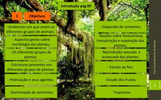 Prof.CássioResendedeMorais
2
Introdução pág 09
1
- Ambientes em que vivem os
diferentes grupos de animais;
- Aspectos gerais sobre
morfologia das plantas;
- Os diferentes grupos de
plantas;
- Estruturas presentes nos
diferentes grupos de plantas;
- Polinização e seus agentes;
- Germinação de sementes;
- Dispersão de sementes;
- Noções sobre fotossíntese,
transpiração e respiração das
plantas;
- Reprodução sexuada e
assexuada das plantas;
- Estudo da flor;
- Estudo dos frutos;
- Tropismos.
Objetivos
 