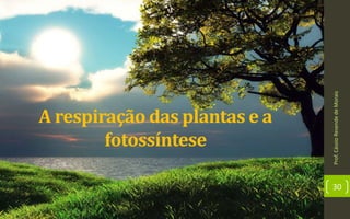 Prof.CássioResendedeMorais
30
A respiração das plantas e a
fotossíntese
 