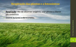 Respiraçãodas plantasea fotossíntese
Prof.CássioResendedeMorais
31
• Respiração: Ato de absorver oxigênio, usar glicose e liberar
gás carbônico.
• Ocorre durante o dia e à noite;
 
