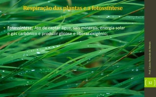 Prof.CássioResendedeMorais
32
• Fotossíntese: Ato de captar água, sais minerais, energia solar
e gás carbônico e produzir glicose e liberar oxigênio;
Respiraçãodas plantasea fotossíntese
 