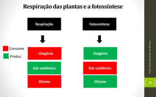 Prof.CássioResendedeMorais
33
Respiraçãodasplantasea fotossíntese
Respiração Fotossíntese
- Oxigênio
Gás carbônico
Glicose
Oxigênio
Gás carbônico
Glicose
Consome
Produz
 