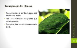 Transpiraçãodasplantas
• Transpiração é a perda de água sob
a forma de vapor;
• Folha é a estrutura da planta que
mais transpira;
• Transpiração é mais intensa durante
o dia.
Prof.CássioResendedeMorais
34
 