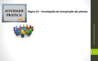 Prof.CássioResendedeMorais
35
Página 22 – Investigação da transpiração das plantas.
 