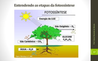 Prof.CássioResendedeMorais
37
Entendendoasetapasdafotossíntese
 