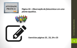 Prof.CássioResendedeMorais
38
Exercícios páginas 22 , 23, 24 e 25
Página 24 – Observação da fotossíntese em uma
planta aquática.
 