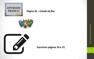 Prof.CássioResendedeMorais
41
Exercícios páginas 26 e 27.
Página 26 – Estudo da flor.
 