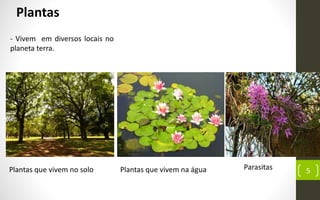Prof.CássioResendede
Morais
5
- Vivem em diversos locais no
planeta terra.
Plantas
Plantas que vivem no solo Plantas que vivem na água Parasitas
 