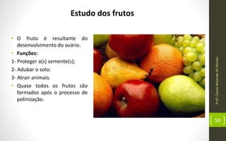 Prof.CássioResendedeMorais
50
Estudo dos frutos
• O fruto é resultante do
desenvolvimento do ovário.
• Funções:
1- Proteger a(s) semente(s);
2- Adubar o solo;
3- Atrair animais.
• Quase todos os frutos são
formados após o processo de
polinização.
 