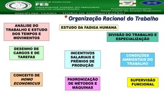 Nome da Disciplina
ANÁLISE DO
TRABALHO E ESTUDO
DOS TEMPOS E
MOVIMENTOS
ESTUDO DA FADIGA HUMANA
DIVISÃO DO TRABALHO E
ESPECIALIZAÇÃO
DESENHO DE
CARGOS E DE
TAREFAS
INCENTIVOS
SALARIAIS E
PRÊMIOS DE
PRODUÇÃO
CONCEITO DE
HOMO
ECONOMICUS
CONDIÇÕES
AMBIENTAIS DO
TRABALHO
PADRONIZAÇÃO
DE MÉTODOS E
MÁQUINAS
SUPERVISÃO
FUNCIONAL
 