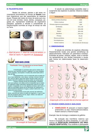 ATHENAS                                                                                                            Biologia

B. PALEONTOLOGIA                                                                 O estudo da paleontologia possibilita datar o
                                                                         surgimento das espécies no planeta. Observe a tabela
        Restos de animais, plantas e até seres mi-                       a seguir:
croscópicos encontrados na formas de fósseis mos-
tram organismos que são aparentados às espécies
atuais. Fósseis são restos do corpo de seres que vive-
ram em eras remotas: ossos, dentes, carapaças, pe-
gadas etc. representam evidências de organismos
passados, ajudando a estudar e compreender as
transformações ocorridas ao longo do tempo da vida
na Terra.




                                                                         C. EMBRIONÁRIAS

                                                                                 O estudo de embriões de espécies diferentes
1- fóssil de peixe; 2- fóssil de concha de molusco; 3-                   freqüentemente revela uma grande semelhança de
                                                                         desenvolvimento, indicando um parentesco evolutivo.
   fóssil de inseto; 4- esqueleto de Tarbosaurus.
                                                                         Embriões de peixes, anfíbios, répteis, aves e mamífe-
                                                                         ros apresentam-se com fendas branquiais e cauda,
                                                                         pelo menos em determinadas fases do desenvolvi-
                                                                         mento.
             IINDO MAIIS LONGE::
               NDO MA S LONGE
    Fossilização: Como os organismos se tornam fósseis
                        Por: G. Luck

            A fossilização é o processo pelo qual os restos de or-
 ganismos (por exemplo animais e vegetais) e os seus vestígios
 (como pegadas, escavações e mudas) são preservados até os
 dias de hoje.
            Freqüentemente o que é conservado são as partes du-
 ras e mais resistentes, como ossos, conchas, troncos e semen-
 tes, mas em alguns casos até mesmo tecidos moles como os
 órgãos internos e detalhes de células podem ser preservados.
            Existem diversas formas de fossilização, entretanto
 para que qualquer uma delas ocorra é necessário que os restos
 do organismo sejam soterrados rapidamente antes de sua des-
 truição. A exposição ao ar e aos agentes do tempo, bem como a
 ação de necrófagos (seres que se alimentam de cadáveres) e
 decompositores (bactérias e fungos), acabam destruindo o que
 sobrou em pouco tempo.
            O soterramento ocorre pelo acúmulo de sedimento
 (lama, areia etc) por sobre os restos do organismo, o que é mais
 fácil de acontecer dentro de rios, lagos, mares e as vezes em
 dunas de antigos desertos.


                                                                         Comparação entre os embriões de diversas espécies

                                                                         D. ÓRGÃOS HOMÓLOGOS E ANÁLOGOS

                                                                            •   HOMÓLOGOS          possuem a mesma origem
                                                                                embrionária, ou seja, mesma estrutura básica.
                                                                                Podem exercer a mesma função.

                                                                         Exemplo: Asa do morcego e nadadeira do golfinho

                                                                                Na evolução dos mamíferos notamos que
                                                                         houve a ocupação de vários ambientes, é o que cha-
               Um exemplo de fossilização                                mamos de ADAPTAÇÃO DIVERGENTE (OU IRRA-
                                                                         DIAÇÃO ADAPTATIVA). Fica evidente a participação

Profº Pablo                                                          3
 